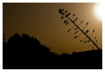  Cabo de Gata. Almeria