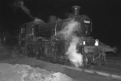 78019 Outside Weybourne Shed