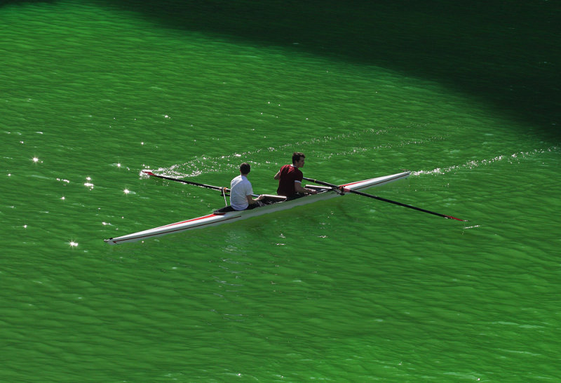 Dyed in Green