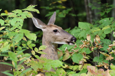 She was keeping an eye on us....