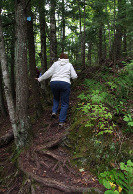 Union Mine Trail