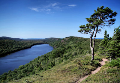 Escarpment Trail