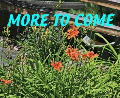 MORE-TO-COME