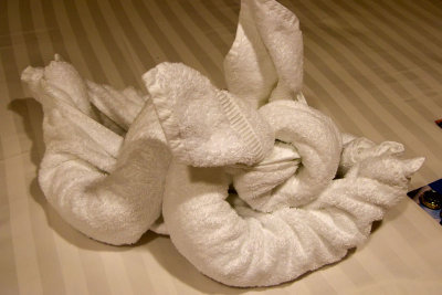 Unidentified Towel Animal