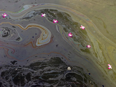 Flowers on a Watery Grave