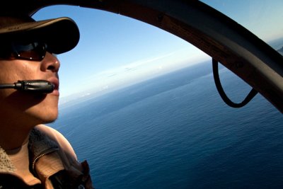 Pilot