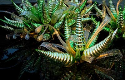 Mirrored Hornets