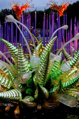 Mirroered Hornets