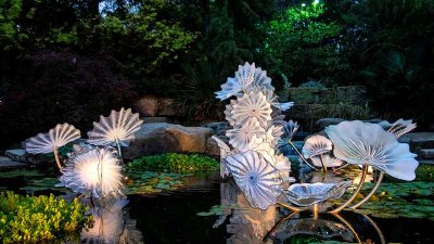 Chihuly Exhibit