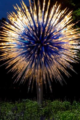 Chihuly Exhibit