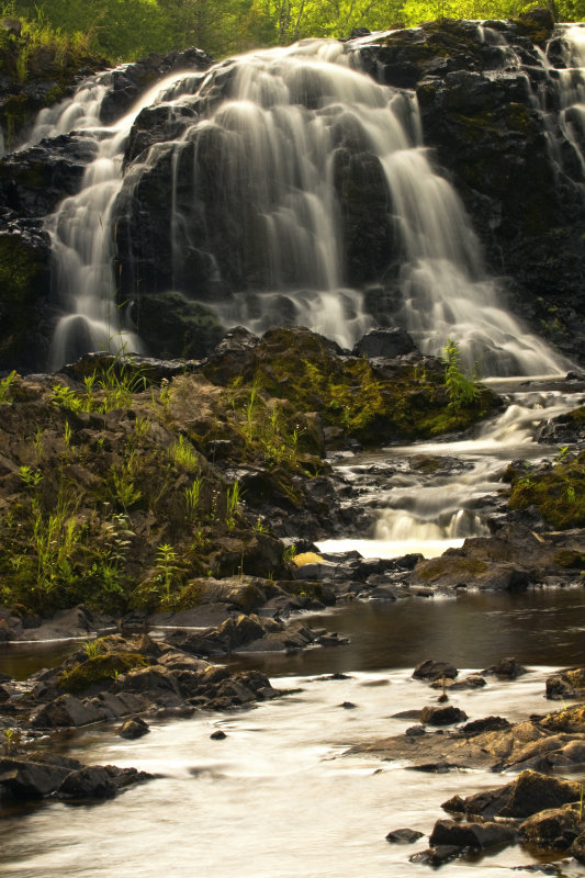 Tyler Forks Cascades