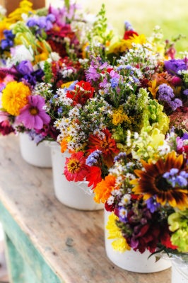 Farmers Market