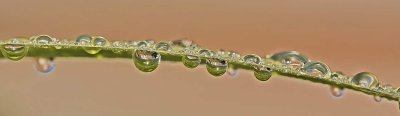 Drops 3