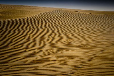 Guadalupe-Nipomo Dunes