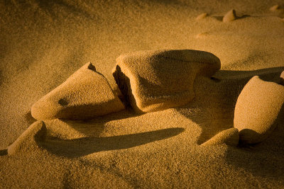 The Guadalupe-Nipomo Dunes