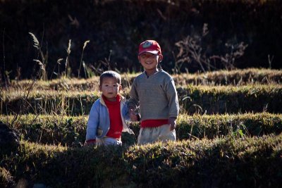 Children of the Rice Farmers