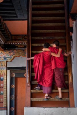 Young Monks on the Stairs
