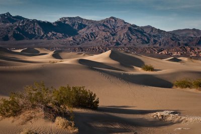 Mesquite Flat Sand Dunes
