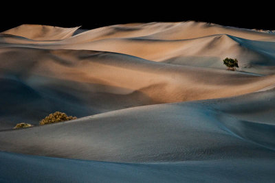 Mesquite Flat Sand Dunes