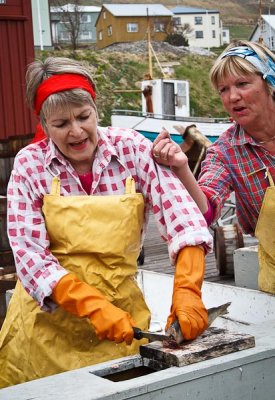Herring at Packinghouse in Siglufjrur