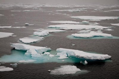 Ice in the Denmark Strait