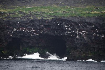 Surtsey Island