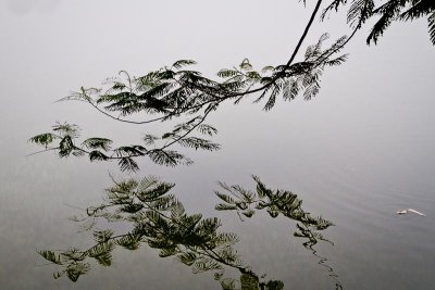 Reflection in Hoan Kiem Lake