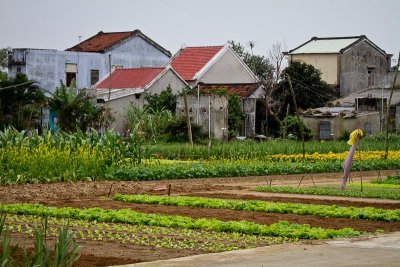 A Farming Community (2)