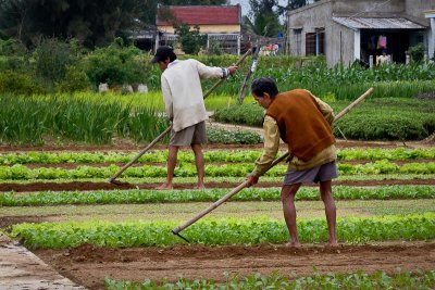 Tiling the Fields