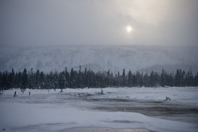 Winter Landscape