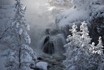 Winter Landscape