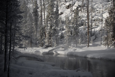 Winter Landscape