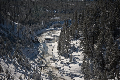 Winter Landscape