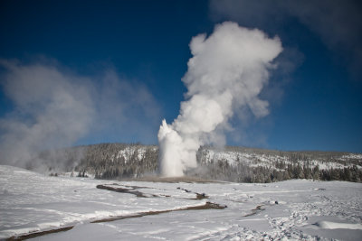 Old Faithful Geyser