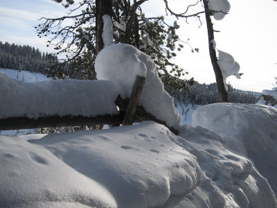 Winter Landscape