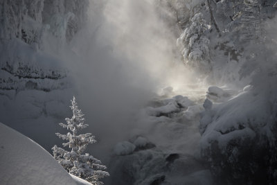 Winter Landscape