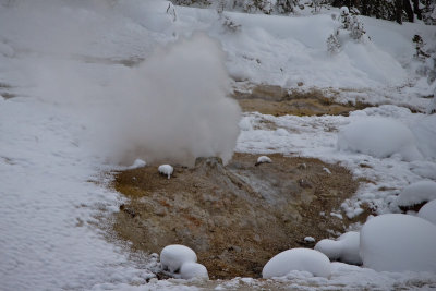 Thermal Pools