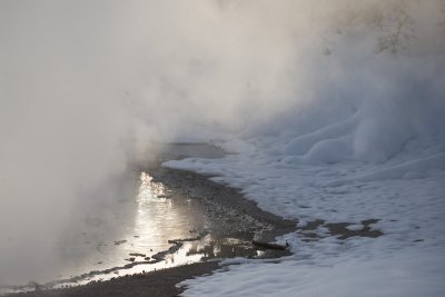 Winter Landscape