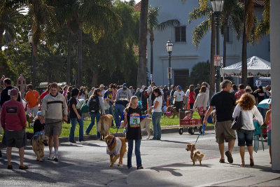 Big Dog Parade