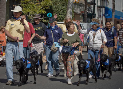 Big Dog Parade