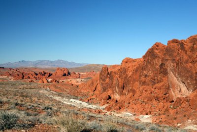 IMG_0338c.jpg