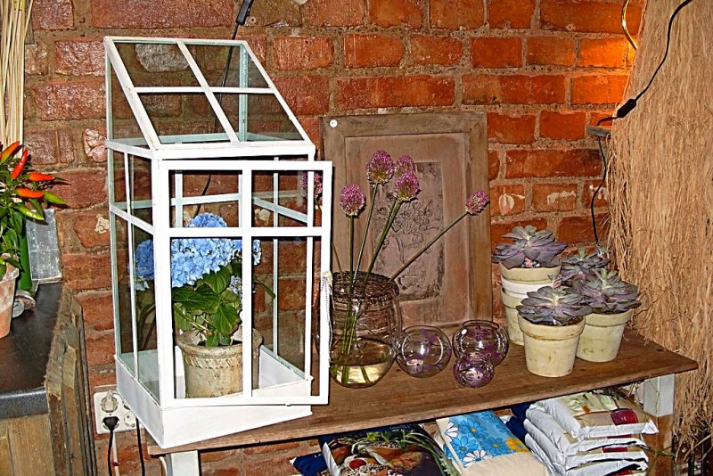 150 mini greenhouse.jpg