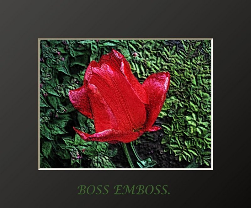 boss emboss.jpg