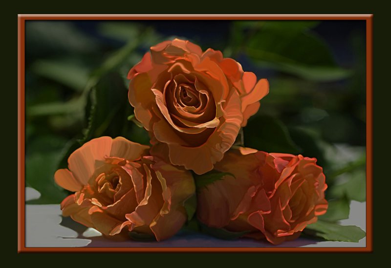 three orange roses.smudged in Photoshop