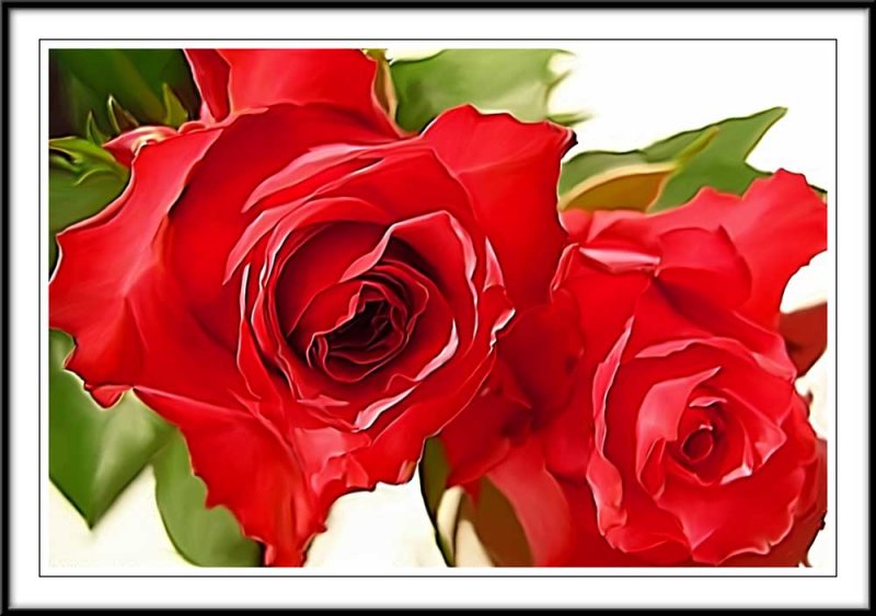 Red roses Photoshop smudge