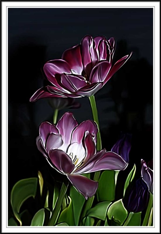 Photoshop smudge tulips