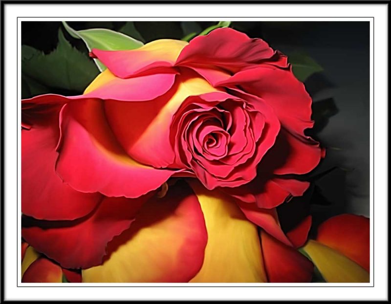 red n yellow rose smudged in Photoshop