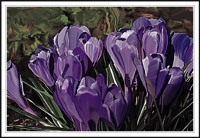 Crocus rough smudge in Photoshop