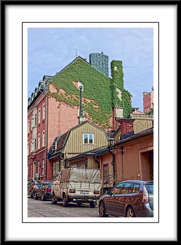  I liked the design the Ivy growing on this house made...