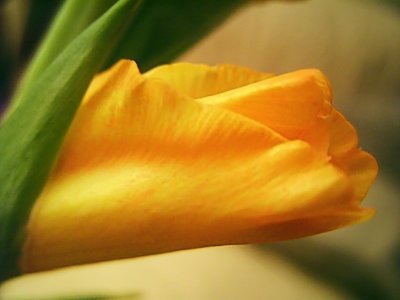 g1/61/817561/3/105013827.hQTNB9nL.jpg